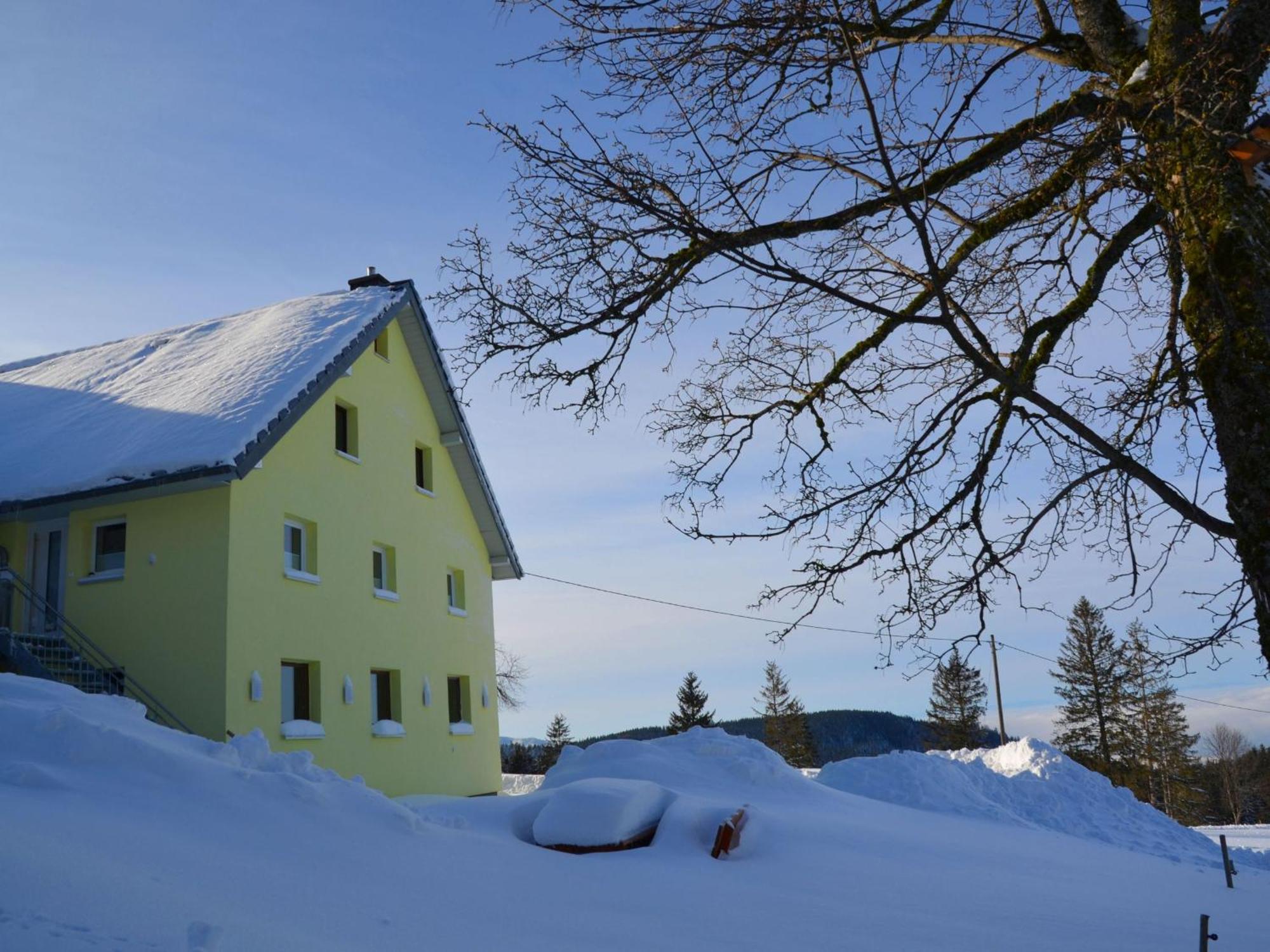 Apartment Baeuerleshuette Breitnau